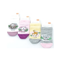Ekinoks 4 Lü Tylra Koala Desenli Kız Çocuk Patik Çorap 001
