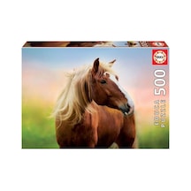 500 Horse At Sunrıse Fsc R