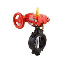 Global Safety Izlenebilir Kelebek Vana, Wafer, 300 Psi