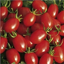 100 Adet Tohum Organik Köy Cherry Çeri Domates Tohumu Saksı Toprak Hediyemizdir