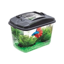 Aquael Betta Kit