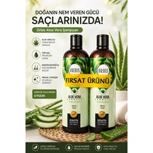 Tüm Saçlar