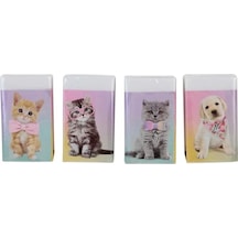 Dolphin Silgi Studıo Pets Pt-782