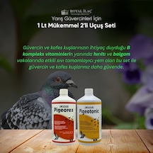 Royal İlaç Güvercin ve Kafes Kuşları İçin Muhteşem İkili Set Pigeotonic+pigeorex 1 L
