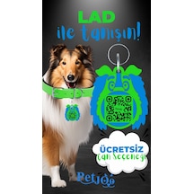 Petjoo 23.Lad Mavi-Yeşil Qr'lı Köpek Künyesi