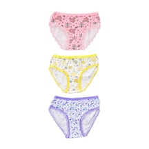 Pemilo Kız Çocuk 840 Desenli 3'Lü Slip Karışık Renk