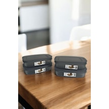 Shell Saklama Kabı Şeffaf 600 Ml, Antrasit, 4'lü Set Şeffaf