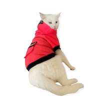Kemique Pink Stars Kapşonlu Kedi Sweatshirt