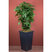 Yapay Çiçekçiniz 140 Cm Yeşil Çınar Ağacı