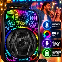 8 İnç Mikrofonlu Karaoke Hoparlör Rgb Işıklı Taşınabilir Bluetooth Speaker