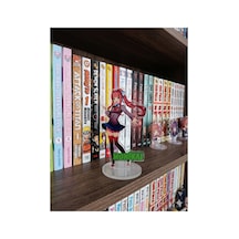 Owl Bag Doki Doki Literatüre Club Monika Karakteri Desenli Tasarım Acrlyic Pleksi Figür 10 Cm