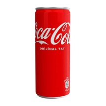 Coca Cola 250 Ml. Kutu Kola 48 Adet