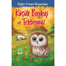 Küçük Baykuş Ve Tekboynuz - Söğüt Ormanı Maceraları - Dppq-763846