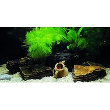 Kanki Pet Kp1256333 Akvaryum Arka Fon Yapıştırma 125 X 63 Cm