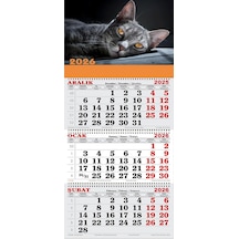 2026 Yılı Gemici Takvimi-kara Kedi
