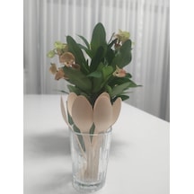 Kullan At Ahşap Tahta Kaşık Çatal Bıçak Set 24 Lü 16 Cm 8 Çatal +8 Kaşık + 8 Bıçak Bej