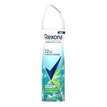 Thermocool Kadın Sprey Deodorant Eucalyptus & Magnolia 150 Ml Thermocool Kadın Sprey Deodorant Eucalyptus & Magnolia 150 Ml