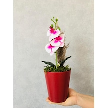 Orkide Yapay Çiçek, 38 Cm, Pembe-beyaz, Saksıda Diğer