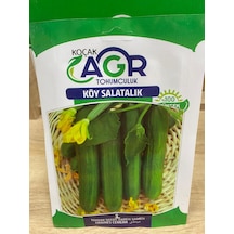 SALATALIK