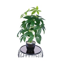 Yapay Çiçek Sitesi Yapay Refah Çiçeği Bitkisi 70 Cm Yeşil