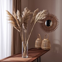 Deco Pampas Yapay Çiçek - Bej - 90x20 Cm Çok Renkli