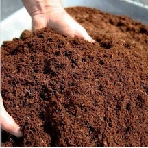 Torf Toprağı 40 Litre