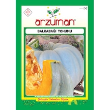 Arzuman Bal Kabağı Tohumu 10 G 25 Adet