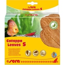 Sera Catappa Yaprağı S 14 CM (10 Adet)