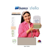 Stella Boya Yeni Nesil Yaşam Boyası Dolap-fayans-cam-plastik-ahşap Diğer
