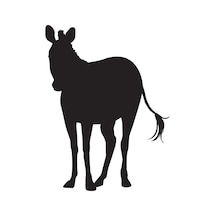 Zebra Folyo Sticker 160cm Uzunluk Siyah