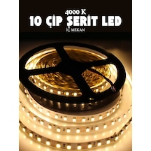 Ct-4486 10 Çip Şerit Led İç Mekan 4000k