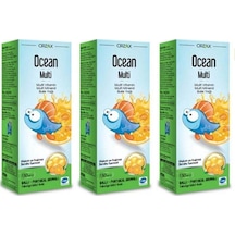 Ballı Portakallı Multi Balık Yağı Şurup 150 ml 3'lü Paket