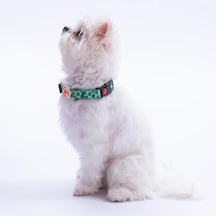 Frog Kurbağa Desenli Köpek Boyun Tasması Ayarlanabilir Köpek Tasması S Yeşil