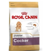 Royal Canin Cocker Puppy Irka Özel Yavru Köpek Maması 3 KG