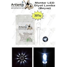 Beyaz Mantar Led Diyot Lamba 30 Lu 1 Paket Beyaz 4.8 Mm Mini Mantar Led Lamba Deney Bilim Proje Arduino Işığı