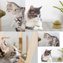 Büro Ev Evcil Hayvanı Kedi İçin Naneli Eğlence Oyun Topu