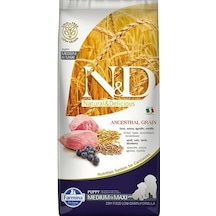 N&D Düşük Tahıllı Kuzu Etli ve Yaban Mersinli Orta Irk Yavru Köpek Maması 12 KG