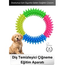 Köpek Diş Temizleyici Çiğneme Eğitim Aparatı Dayanıklı Köpek Isırma Oyuncağı Diş Kaşıma Oyuncak Pla