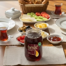 Fanus Organik Süzme Kestane Balı 460 G