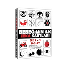 2199 Eğitici Kartlar 0-6 Ay Zeka Kartları Çok Renkli