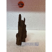 Mangrow Kökü No:31 6x3x13h