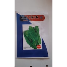Pazı Tohumu Sebze Tohumlarımız Taze Ve