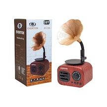 Radyo Nostaljik Everton Rt-705Bt Bluetooth Usb