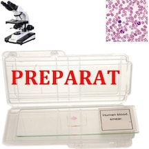 İnsan Kanı Daimi Kan Preparatı