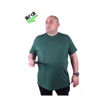 Nefti