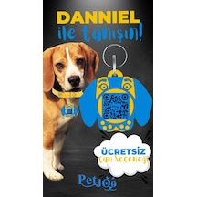 Petjoo 21.Danniel Mavi-Sarı Qr'lı Köpek Künyesi