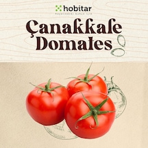 Hobitar Çanakkale Tarla Domates Tohumu