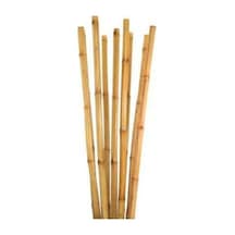 Bambu Bitki Destek Çubuğu 120 Cm 20 Adet