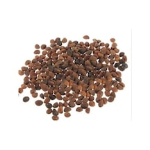 Ispanak Tohumu 100 G