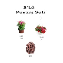 3'lü Peyzaj Seti Pembe Mine Kırmızı Petunya Çiçeği Curf
